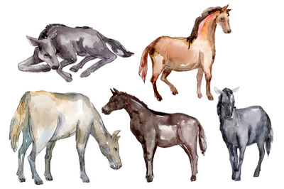 Farm animals: Horse, foal Watercolor png