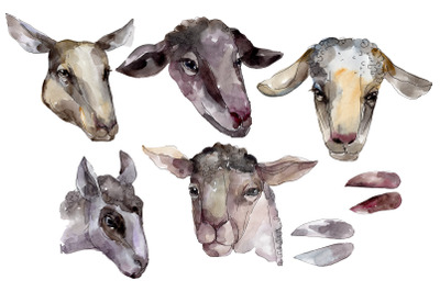 Farm animals: Ram head Watercolor png