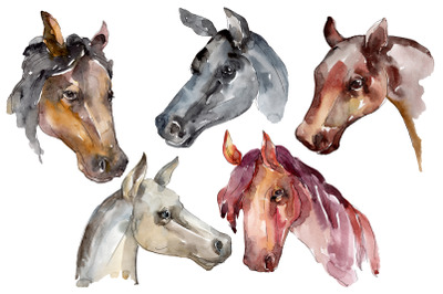 Farm animals: horse head Watercolor png