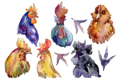Farm animals: cock/hen head Watercolor png