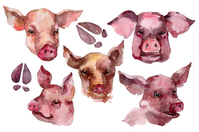 &nbsp;Farm animals: pig head Watercolor png