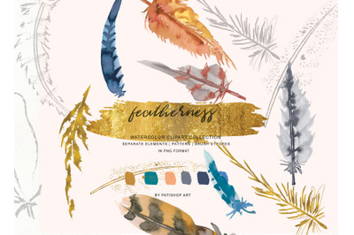 Watercolor Burnt Orange Blue Gray Feather Clipart