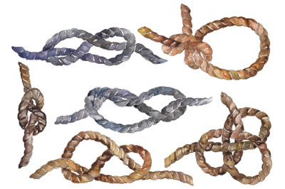 Sea knots Watercolor png