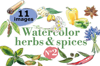 Watercolor herbs &amp; spices-2