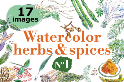 Watercolor spices vector set-1