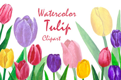 Tulips watercolor. Flowers watercolor. Flowers tulips watercolor