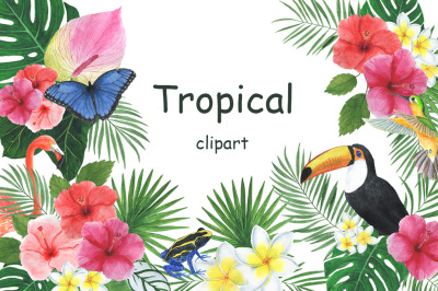 Tropical watercolor. Tropical flowers. Tropical animals