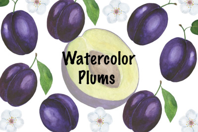 Plum watercolor. Plum pattern. Berry watercolor. Fruits watercolor