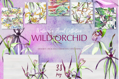 Wild orchid Watercolor png