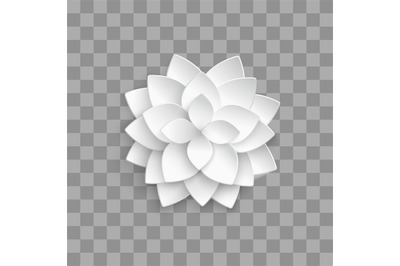 White paper 3d lotus isolated on transparent background