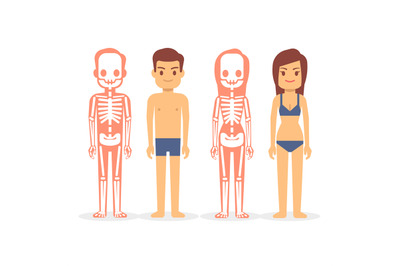 Man and woman&2C; male and female skeletons isolated on white background