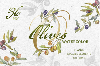 Tasty olives watercolor png