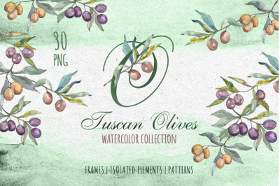 Tuscan Olives green Watercolor png