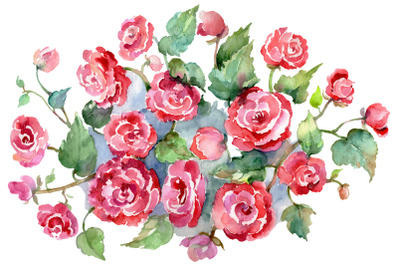 Bouquet of roses pinks Metamorphosis Watercolor png