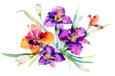 Bouquet Freesia watercolor png