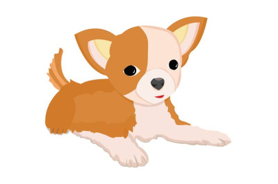 Cute  Chihuahua Dog Illustration