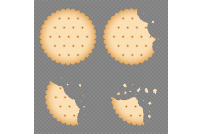 Bitten chip biscuit cookie, cracker