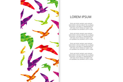 Colorful birds silhouettes banner design