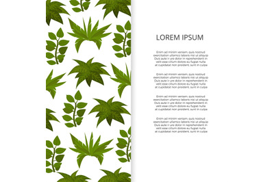 Flat green plants banner design