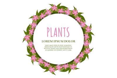 Plants banner concept - green and flowers round