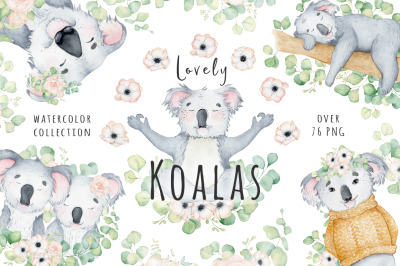 Lovely Koalas and Eucalyptus watercolor set