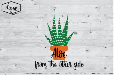 Aloe From The Other Side