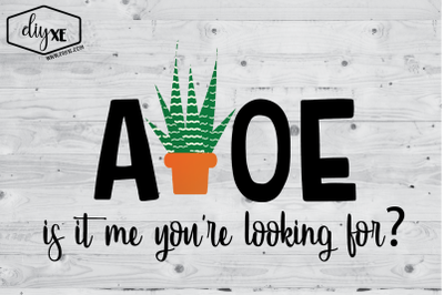 Aloe Is It Me You&#039;re Looking For?