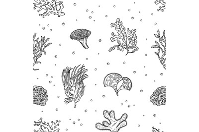 Vector hand drawn seaweed pattern or background illustration