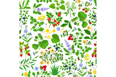 Wild herbs, flowers and berries pattern