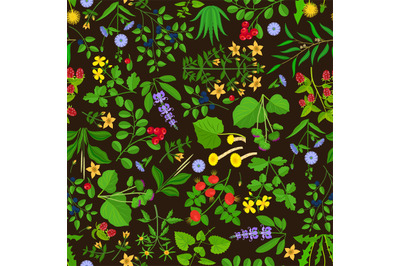 Wild flowers and Herbs background