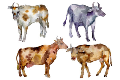 Agriculture: cow Watercolor png