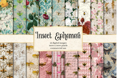 Insect Ephemera Digital Paper