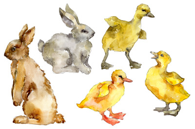 Agriculture: Rabbit, ducklings Watercolor png