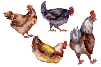 Farm animals: hen Watercolor png