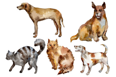 Agriculture&3A; domestic pets-cat&2C; dog Watercolor png