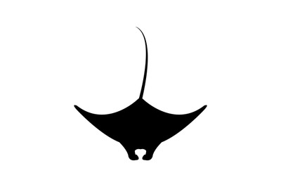 Manta fish icon