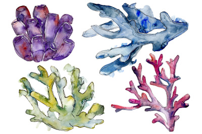 Corals seascape watercolor png