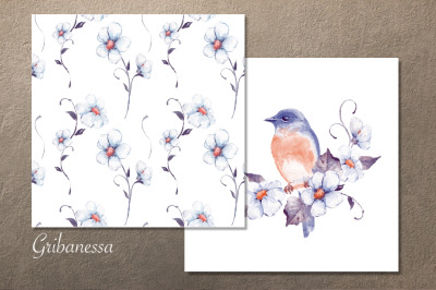 Watercolor bird clipart and floral pattern