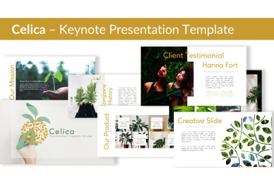 Celica - Keynote Presentation Template