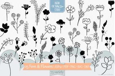 Meadow Ferns &amp; Wild Flowers | Hand Drawn Nature, Leaves, Plants