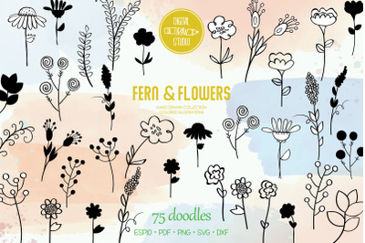Meadow Ferns &amp; Wild Flowers | Hand Drawn Nature, Leaves, Plants