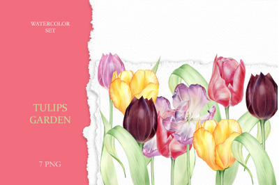 Watercolor Set Tulips Garden