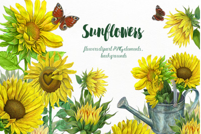 Sunflowers Clipart