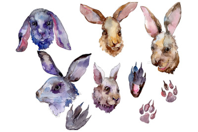 Farm animals: rabbit head Watercolor png