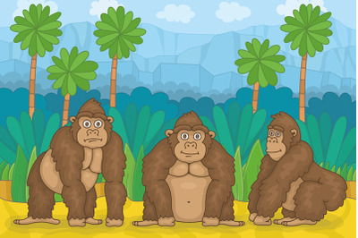 Three gorillas in jungle