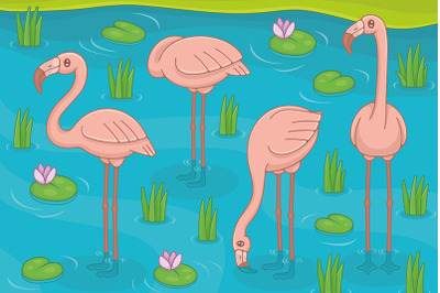 Group of Pink Flamingos