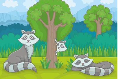 Three raccoons