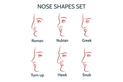 Contour Nose Shapes Set