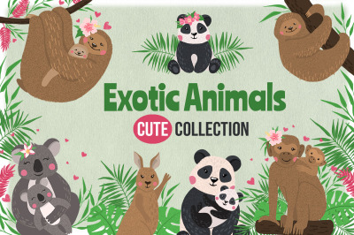 Vector Exotic Animals Collection