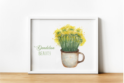 Dandelion beauty